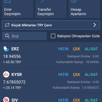 Bitexen Token Alımında Büyük Kayıp