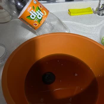 Üründe Korkunç Bakteri Şoku