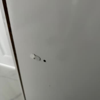 Montaj Hatası Ve İlgisizlik