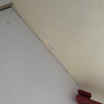 Kurulum Hataları Ve İletişim Eksikliği: Hayal Kırıklığı