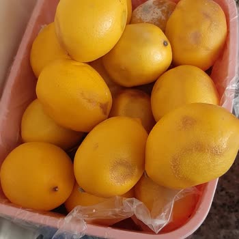 Arçelik Buzdolabı Sorunları Ve Çözüm Beklentisi