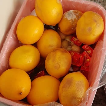 Arçelik Buzdolabı Sorunları Ve Çözüm Beklentisi