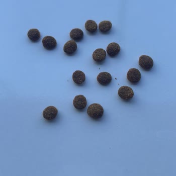 Pazarama Always Pet Sahte Mama