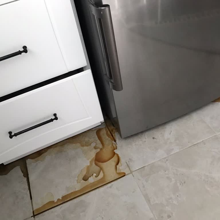 Ateş Elektronik LG Buzdolabı Sorunu: Çözüm Bulunamıyor!