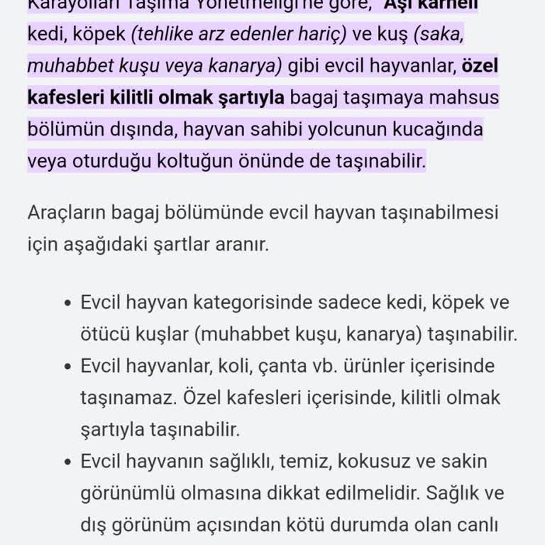 İnan Turizm Evcil Hayvanla Seyahat Ettiğim Otobüste Yaşadığım Sorun