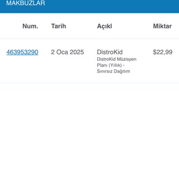 Distrokid Ücret Aldı, Şarkımı Yayınlamadı