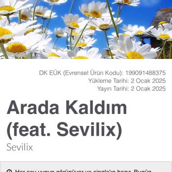 Distrokid Ücret Aldı, Şarkımı Yayınlamadı