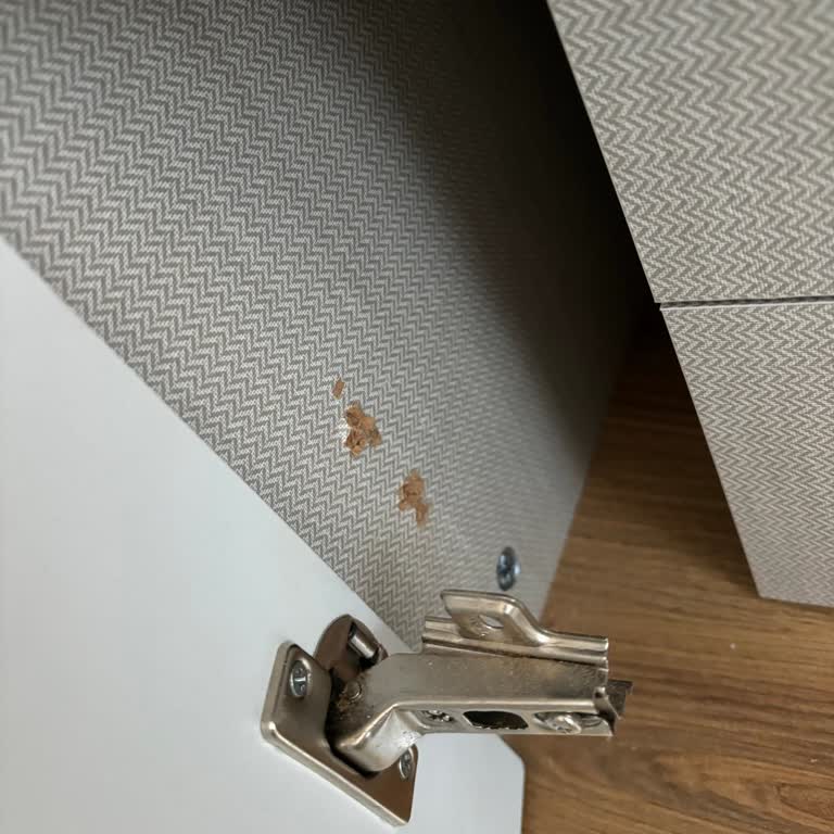 Uzper Dayanıklı Tüketim Malları Dolabı Alalı 1 Ay Olmadı Kapakları Menteşeleri Elimde Kaldı