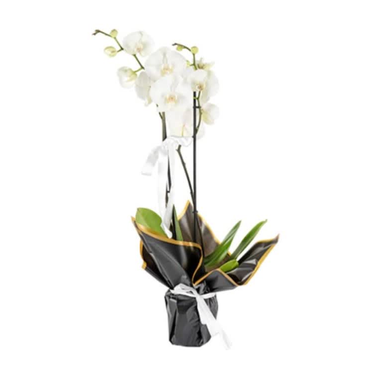 Yanlış Çiçek Gönderimi Ve İade Sorunu