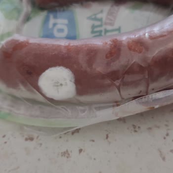 Torku Sucukta Beklenmedik Küflenme Şoku!