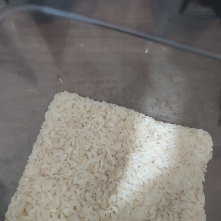 Efsane Pirinçte Kurt ve Böcekler