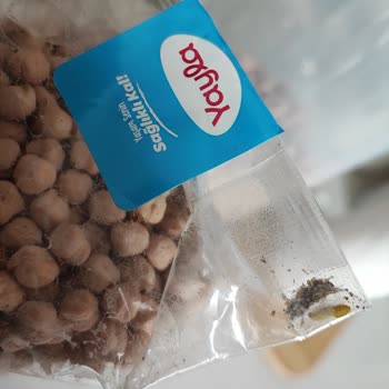 Migros'ta Satın Aldığım Üründe Böcek Ve Kurtçuk Problemi