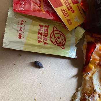 Zeytin Çekirdeği Yüzünden Kırılan Diş Ve 3000 TL Masraf!