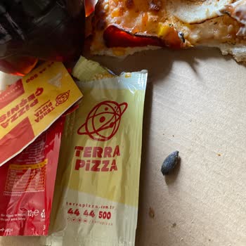 Zeytin Çekirdeği Yüzünden Kırılan Diş Ve 3000 TL Masraf!