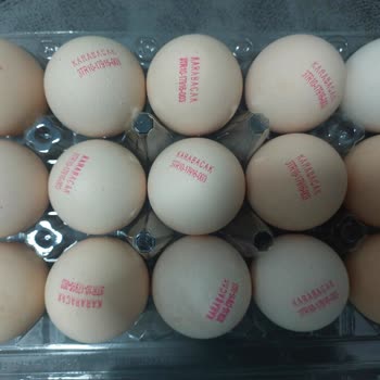 Karabacak Yumurta Gezen Tavuk Paketinden 3 No Kodlu Kafes Yumurtası Çıktı