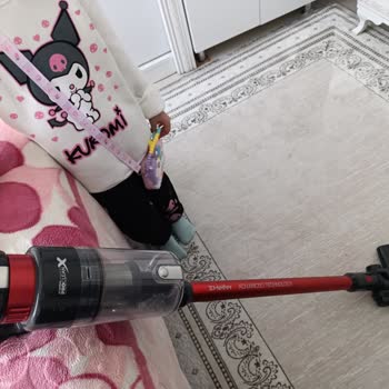 Heifer Proclean Sorunu