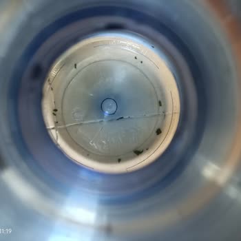 Saka Su'da Şaşırtan Yeşillikler