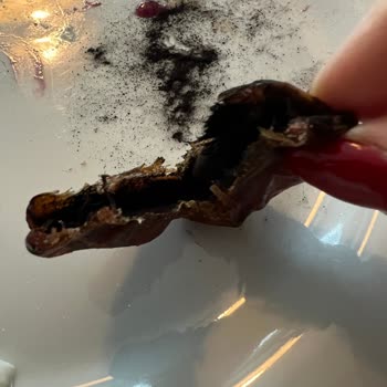 Hurma Paketinde Şok Edici Bulgu: Kömür Tozu!