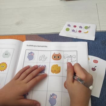 Hatalı Sudoku Çıkartma Kitabı Deneyimi