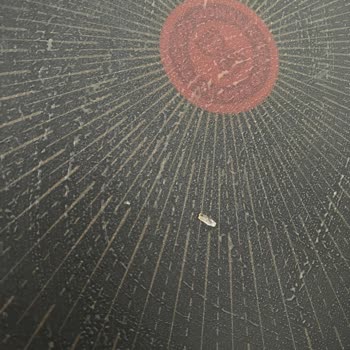 Lutenitsa Sos Ürününde Cam Parçası Tehlikesi