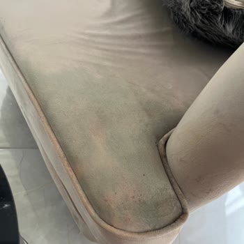 Leke Çıkarıcı Koltuğumu Mahvetti!