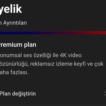 Netflix Premium Paket Sorunu: Cihaz Sınırı