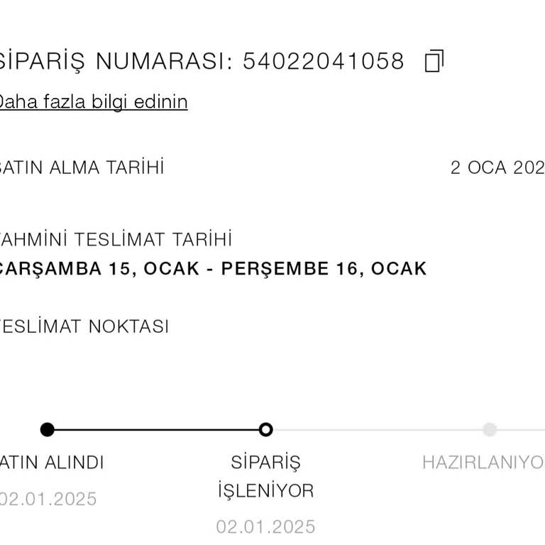 Zara Online Siparişi İşleniyor Aşamasında Takıldı