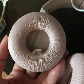 JBL Kulaklığımın Derisi Soyuluyor