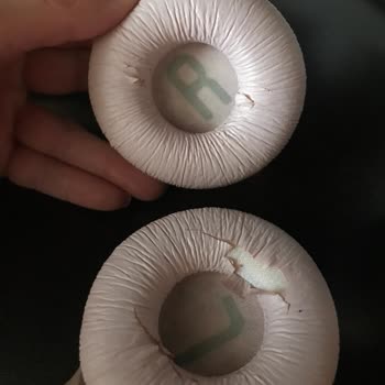 JBL Kulaklığımın Derisi Soyuluyor