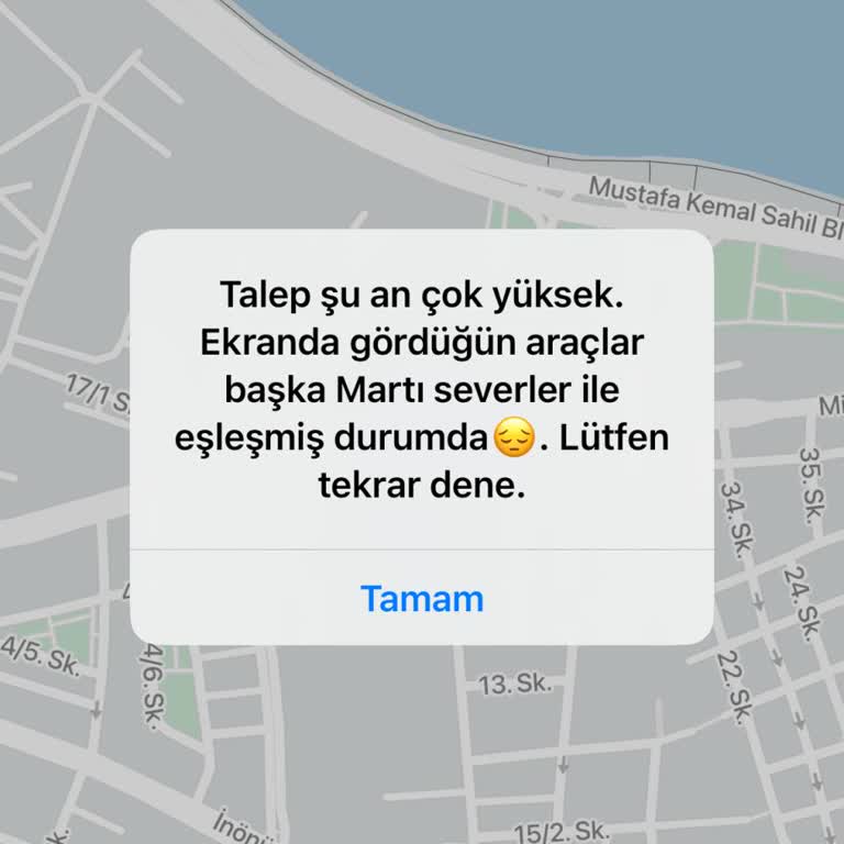 Martı Yolculuklarında Sürekli Eşleşme Sorunu