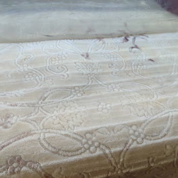 Halı Yıkama Makinesi Ve Şampuan Felaketi