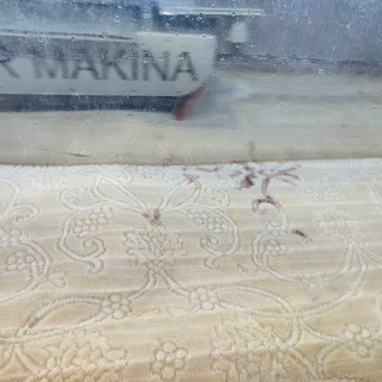 Halı Yıkama Makinesi Ve Şampuan Felaketi