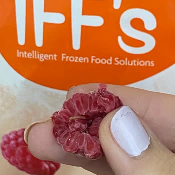 IFF's Frambuazlarda Kurt Olması