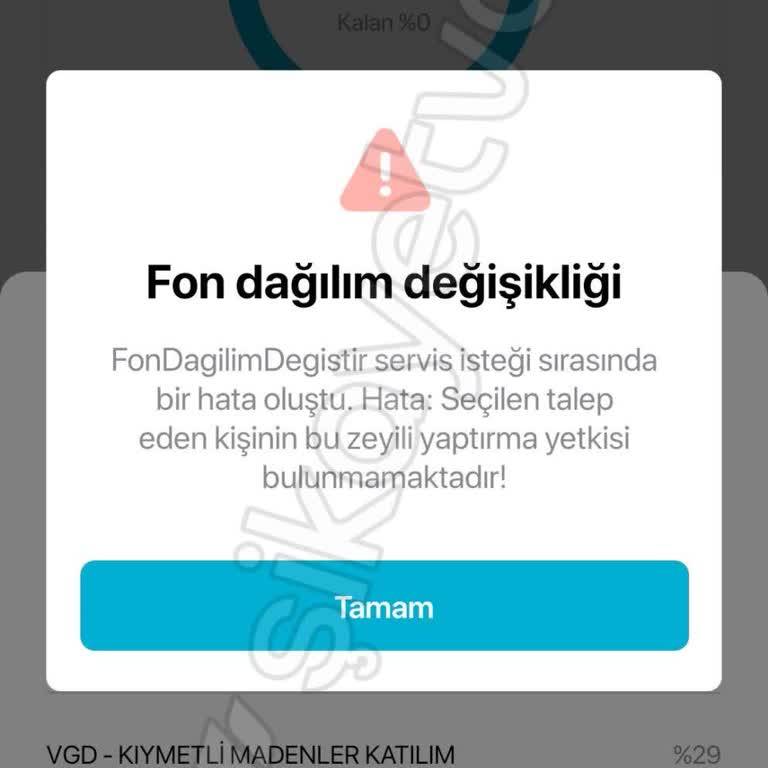 Fon Değişikliği Sorunu: 18 Yaş Altı BES Hesabı