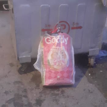Hayvanlar İçin Aldığım Mama Yenmiyor