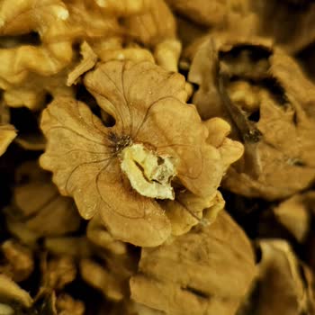 Kuruyemişlerde Böcek Sorunu: Güven Sarsıldı