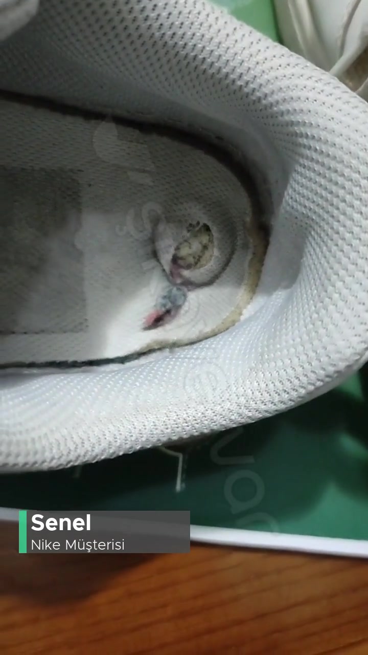 In Street'ten Aldığım Nike Marka Ürünün Tabanı Deforme Oldu! videonun kapak resmi