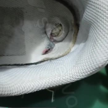 In Street'ten Aldığım Nike Marka Ürünün Tabanı Deforme Oldu!