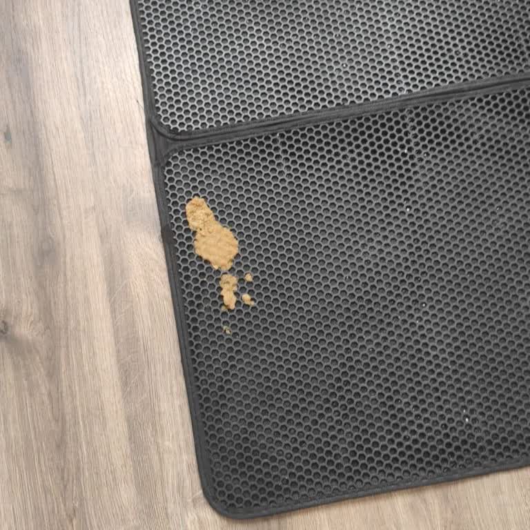 Sahte Mama Kedimin Sağlığını Tehlikeye Attı