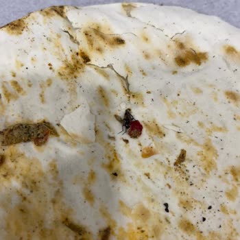 Pekfood Lahmacunda Hijyen Skandalı