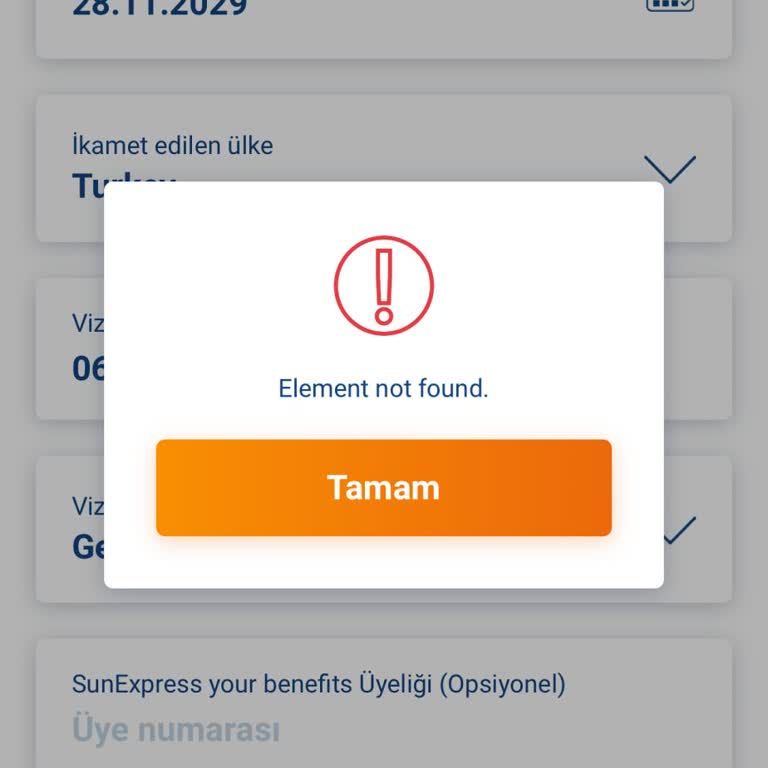 Online Check-in Sorunu Ve Acil Çözüm Talebi