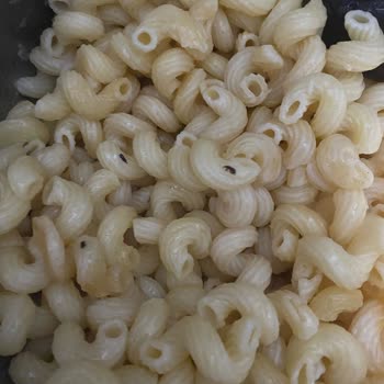 Makarnada Böcek Şoku: İzmit'te Yaşanan Talihsizlik