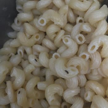 Makarnada Böcek Şoku: İzmit'te Yaşanan Talihsizlik