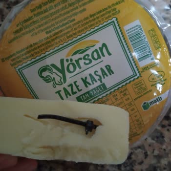 Kablo Bağı Şoku: Yörsan Kaşar Peynir Skandalı
