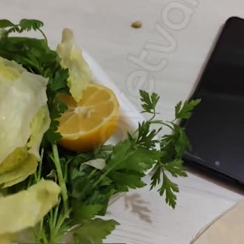 Oses Çiğköfte Hijyen Sıfır Ve Sinek Dolu!