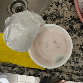 Son Kullanma Tarihi Geçmemiş Yoğurtta Küf Problemi