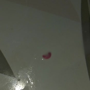 BİM Dost Ayranın İçinden Plastik Parçası Çıktı