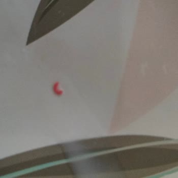 BİM Dost Ayranın İçinden Plastik Parçası Çıktı