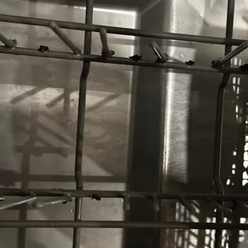 Teka Bulaşık Makinesi: Parça Tedariği Ve Teknik Servis Sorunları!