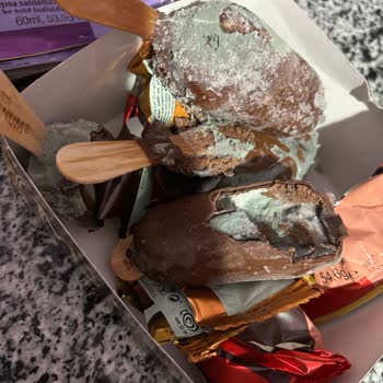 Bozuk Magnum Mini Dondurma Paketi: Küflü Ürün Şikayeti